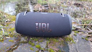 Blue JBL Xtreme 3 Bluetooth speaker lying on moss-covered paving stones in front of a wild pond.