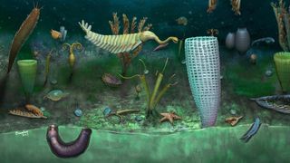 illustration shows a number of bizarre looking worms, seastars, trilobites and other creatures living in a dim underwater environment