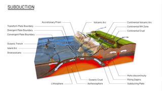 Graphic showing the oceanic crust "sinking" below the continental crust. Where the plates meets a volcanic arc forms.