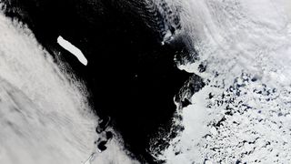 This photo, taken Oct. 31 by NASA's Terra satellite, shows the world's largest iceberg, A-76A, in the Drake Passage near Antarctica.