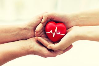 In an image representing organ donation, one person's hands give a plastic heart to another person.