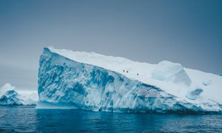 Antarctica