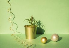 marijuana plant in gold pot with gold ornaments and streamers next to it