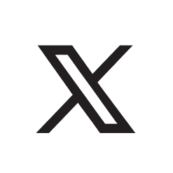 X icon