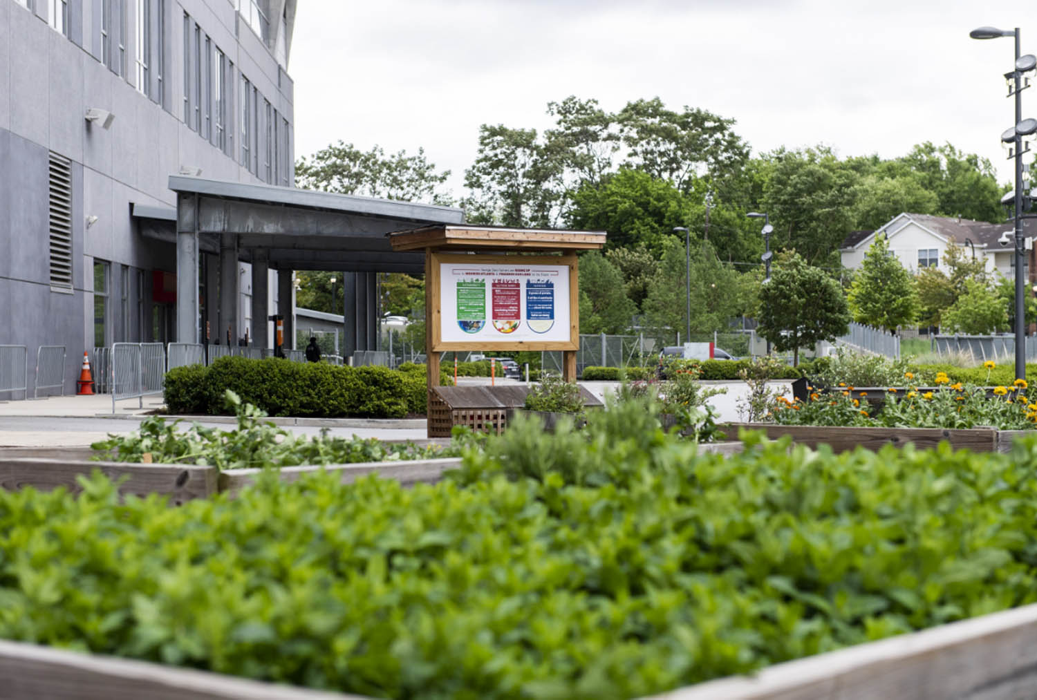 Sustainability photography of exterior garden at admin entrance