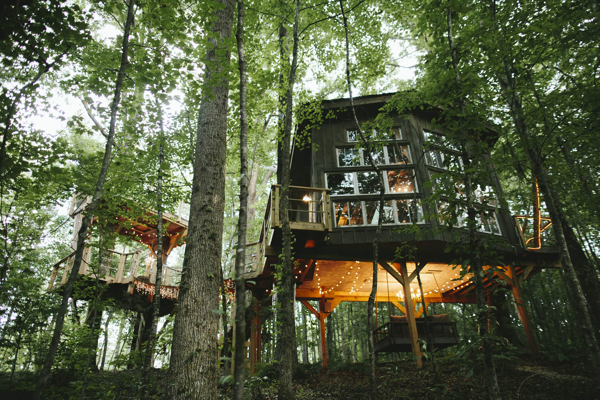 majestic_treehouse