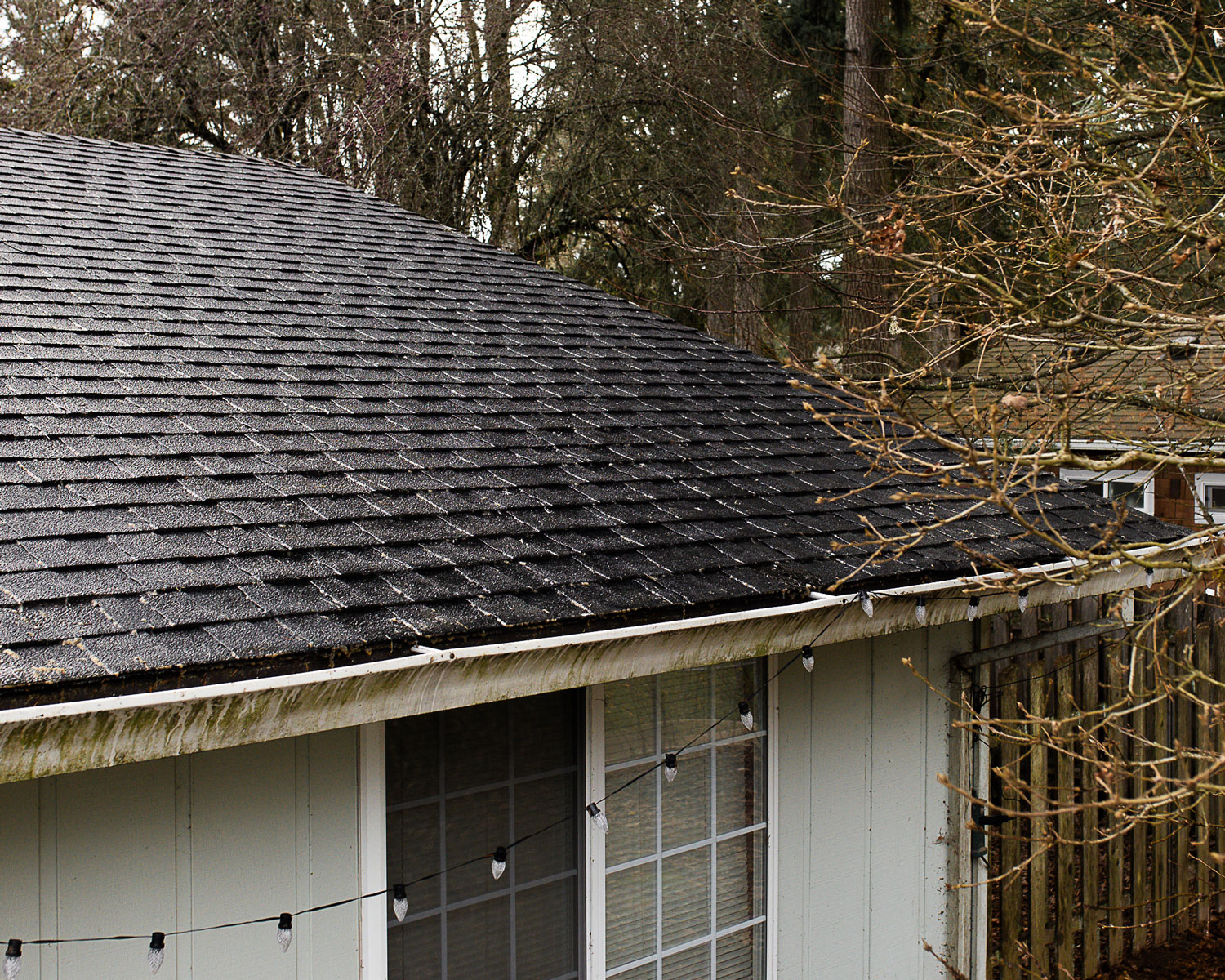 Roof Cleaning