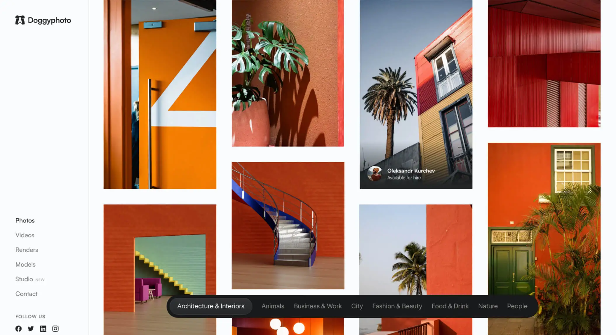 image of a website for "Doggyphoto", which features a masonry grid of nice pictures with mainly orange and red hues