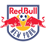 New York Red Bulls Icon