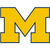 Michigan Wolverines Icon