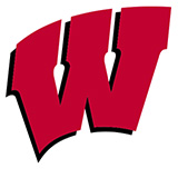 Wisconsin Badgers Icon