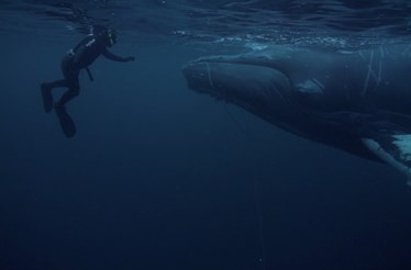 Série Respeito: "Foi ali um momento de adrenalina, mas que acabou como um momento surreal"