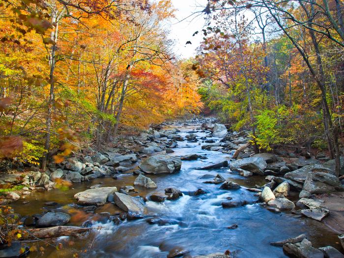 Preview photo of Rock Creek Park Group Picnic Areas (DC)