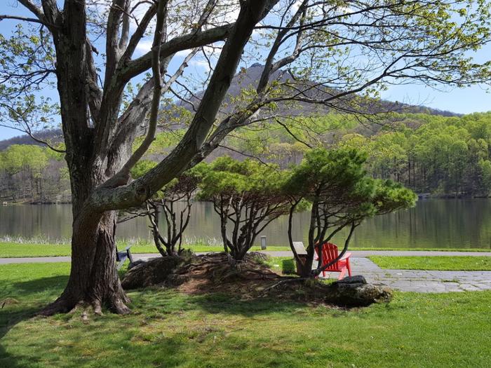 Preview photo of Peaks Of Otter Campground