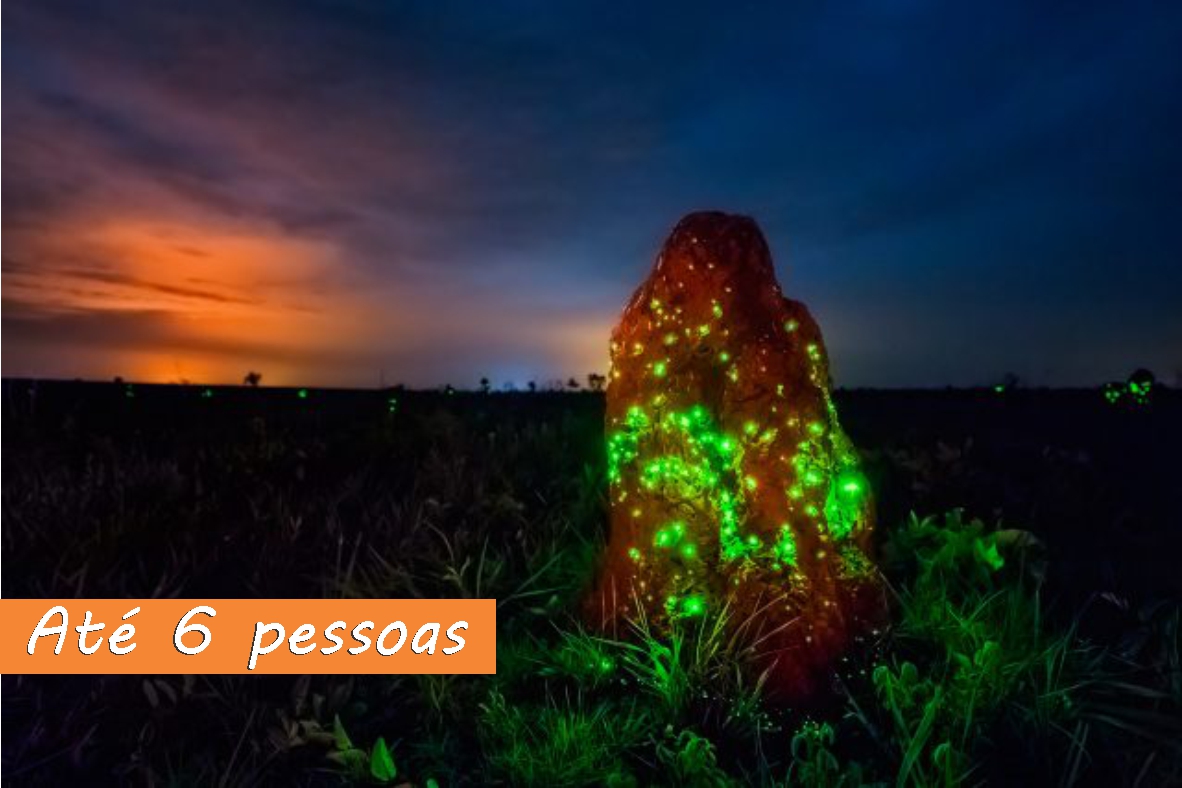 BIOLUMINESCÊNCIA