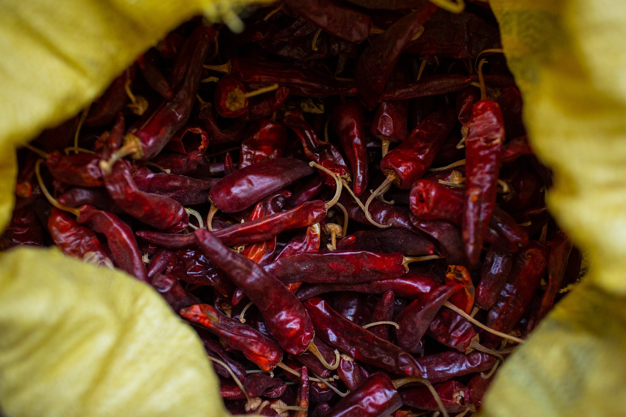 Whole Kashmiri chillies in a yellow bag