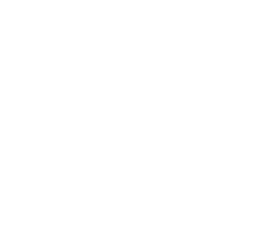 Made In The USA