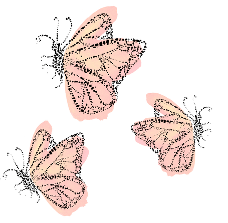 pink butterfly drawing