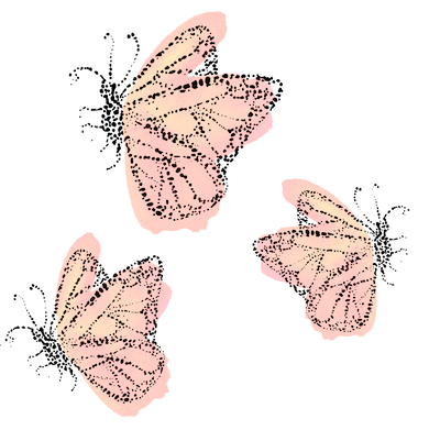 drawing of butterflies