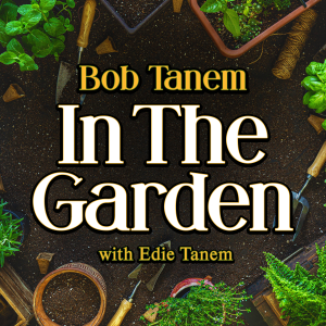 Edie Tanem in the Garden