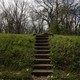 A stairway leads to an empty lot where a house used to stand.