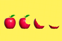 An image of apples, with progressively more bites taken out of them, against a yellow background