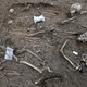 Partial skeleton remains from an ancient burial site