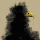 A bald eagle made out of black smog