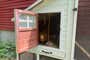 View inside the side door of our pick for best chicken coop, with a blond hen standing in the doorway.