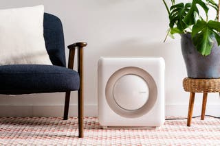 A white Coway Mighty air purifier sitting in a living room in between a chair and a potted plant.