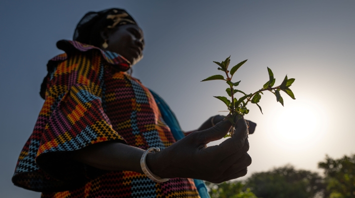 Woman carries farm produce on her head.