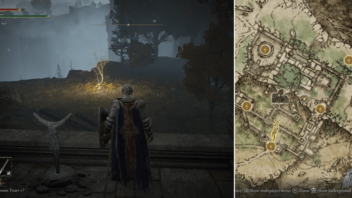 Elden Ring guide: Golden Seed locations 