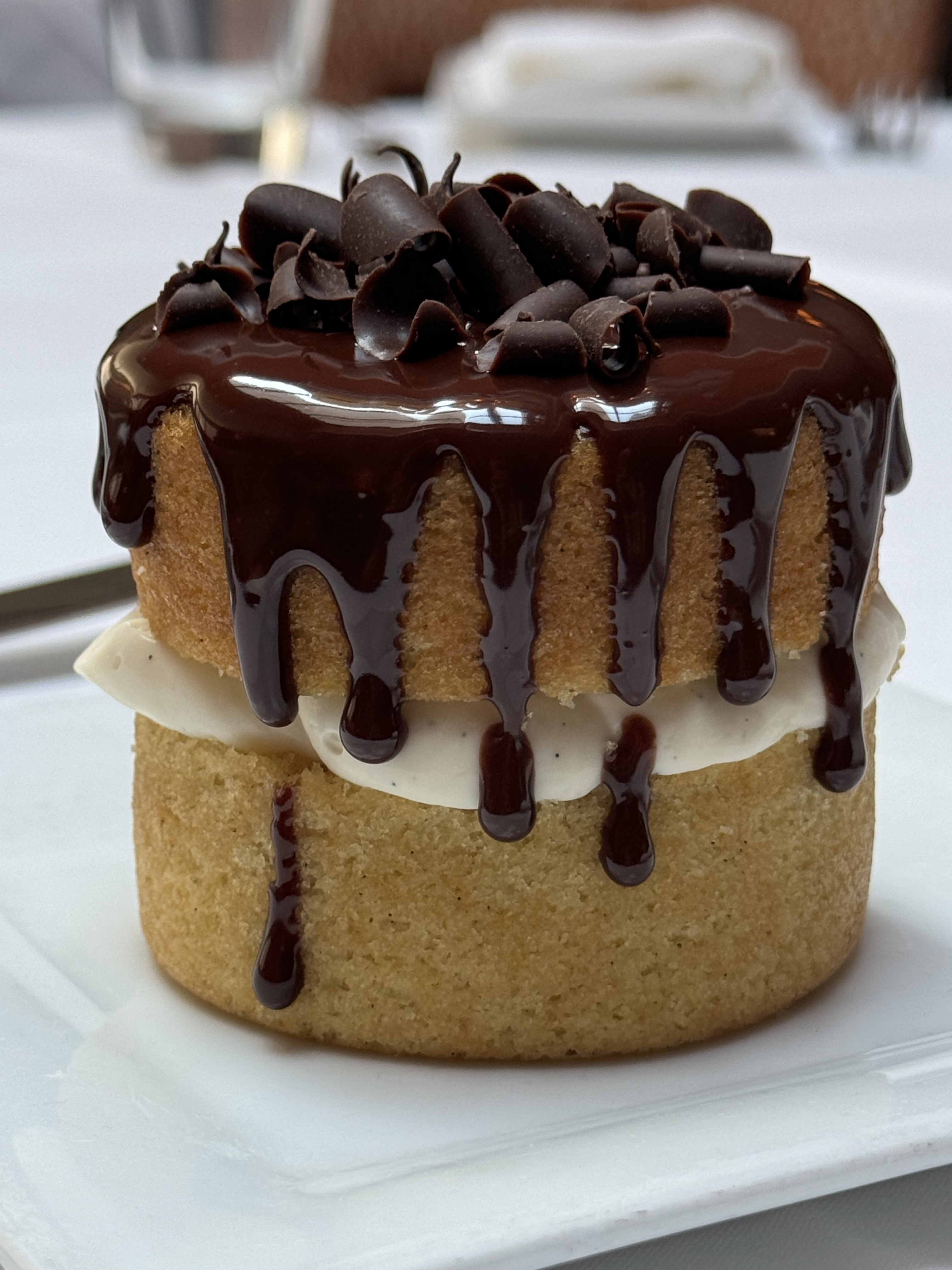 A personal-sized Boston cream pie with two circular sponge cakes, white cream in the middle, and chocolate sauce poured over top.