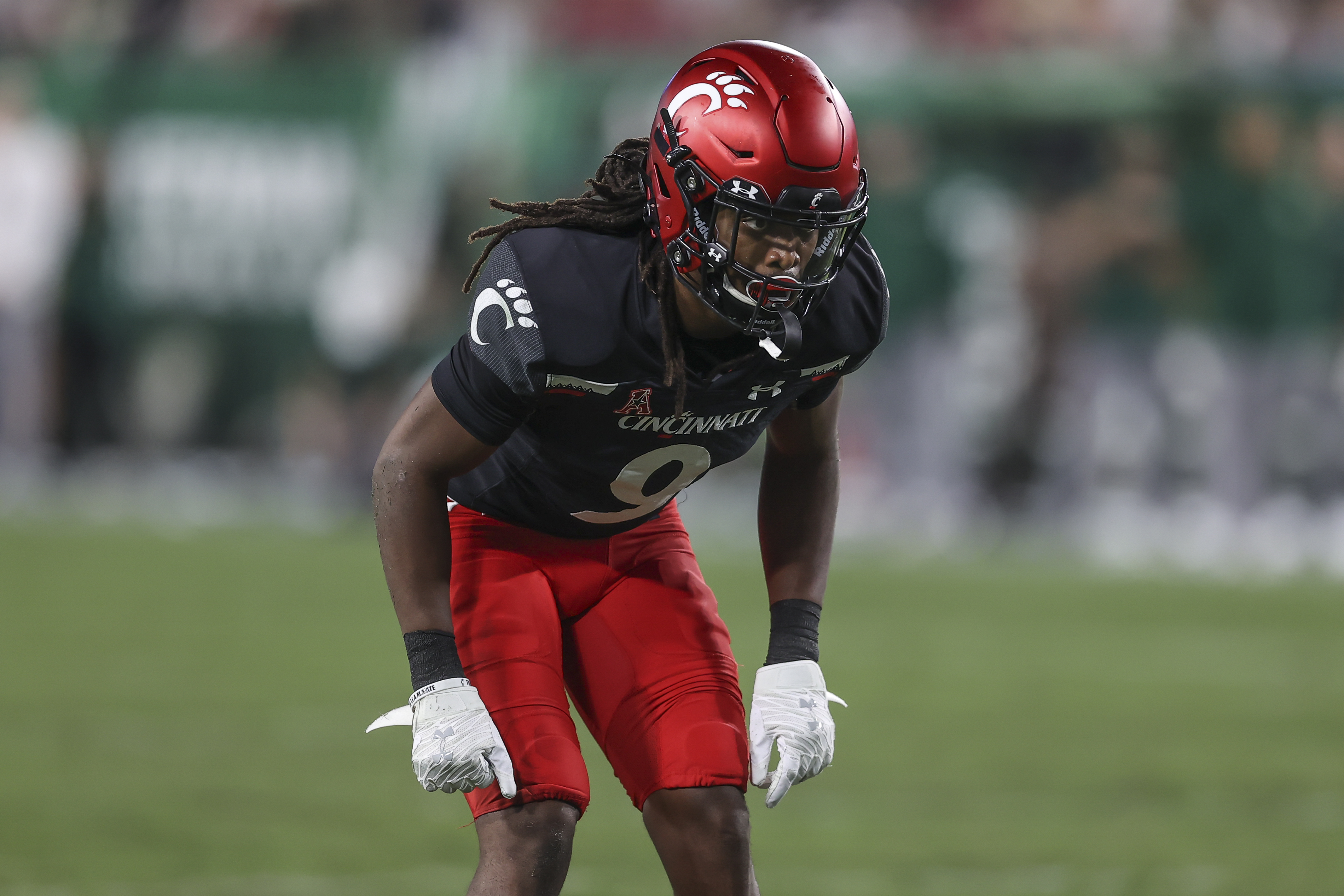 COLLEGE FOOTBALL: NOV 12 Cincinnati at USF