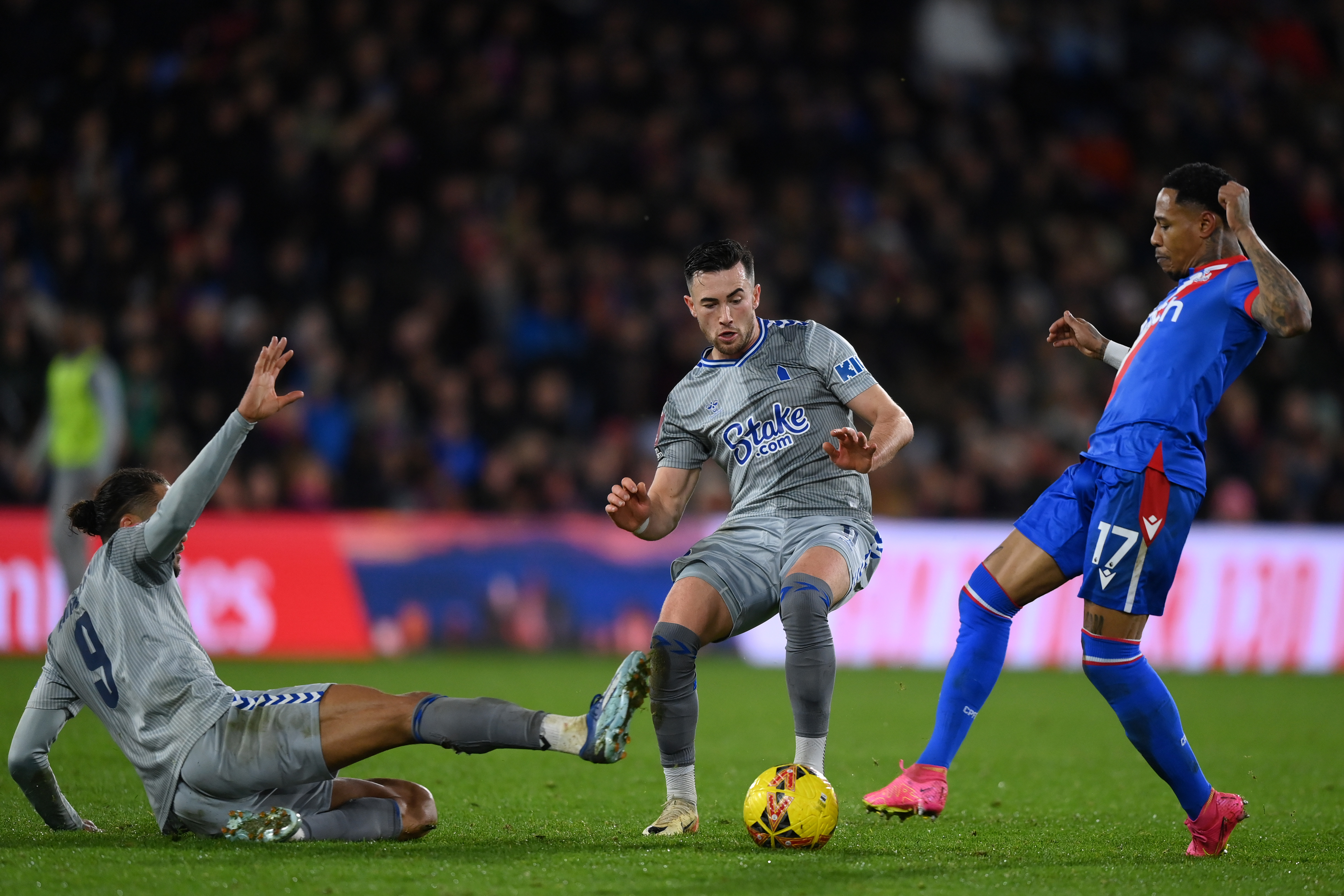 Crystal Palace v Everton - Emirates FA Cup Third Round