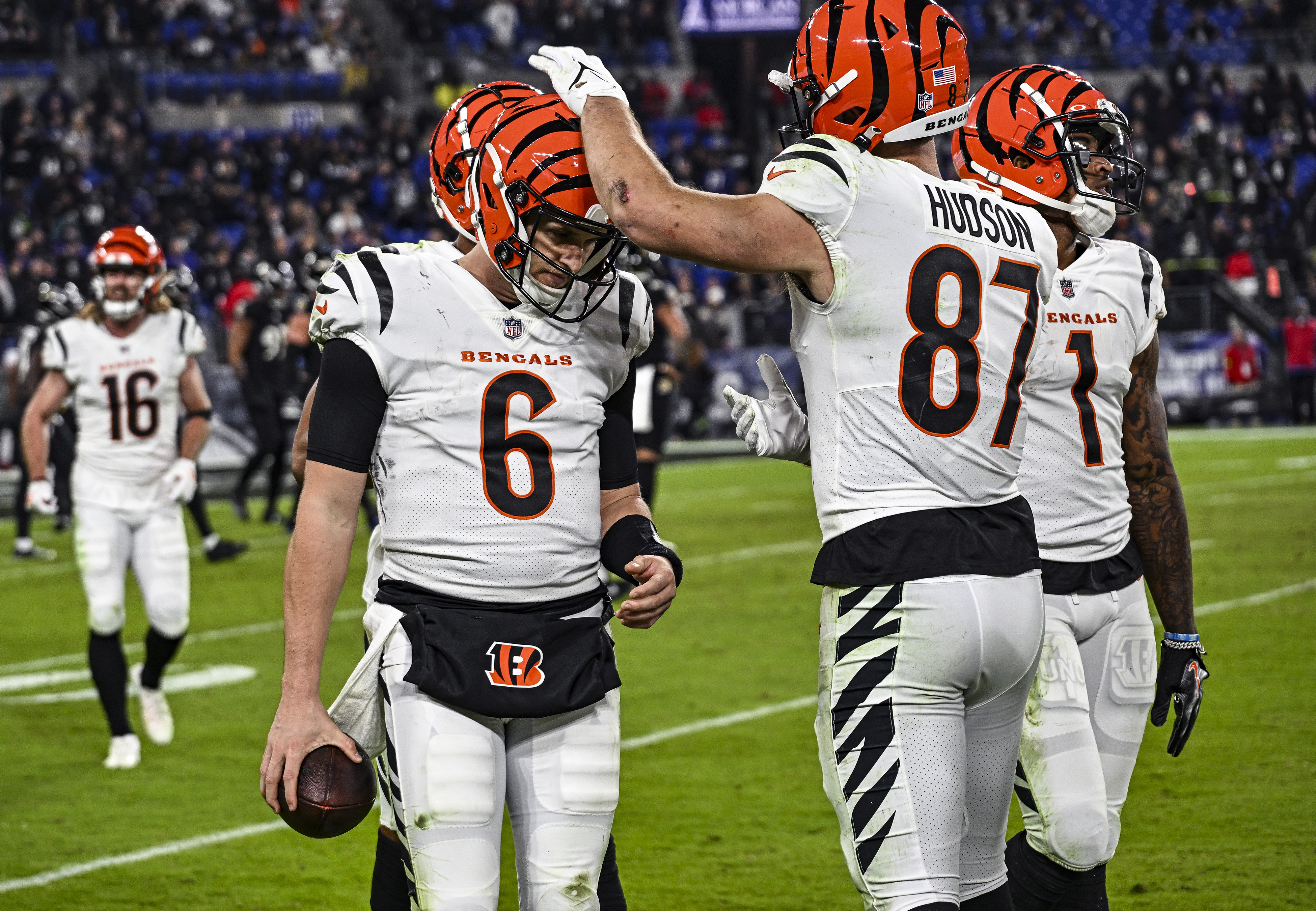 NFL: NOV 16 Bengals at Ravens