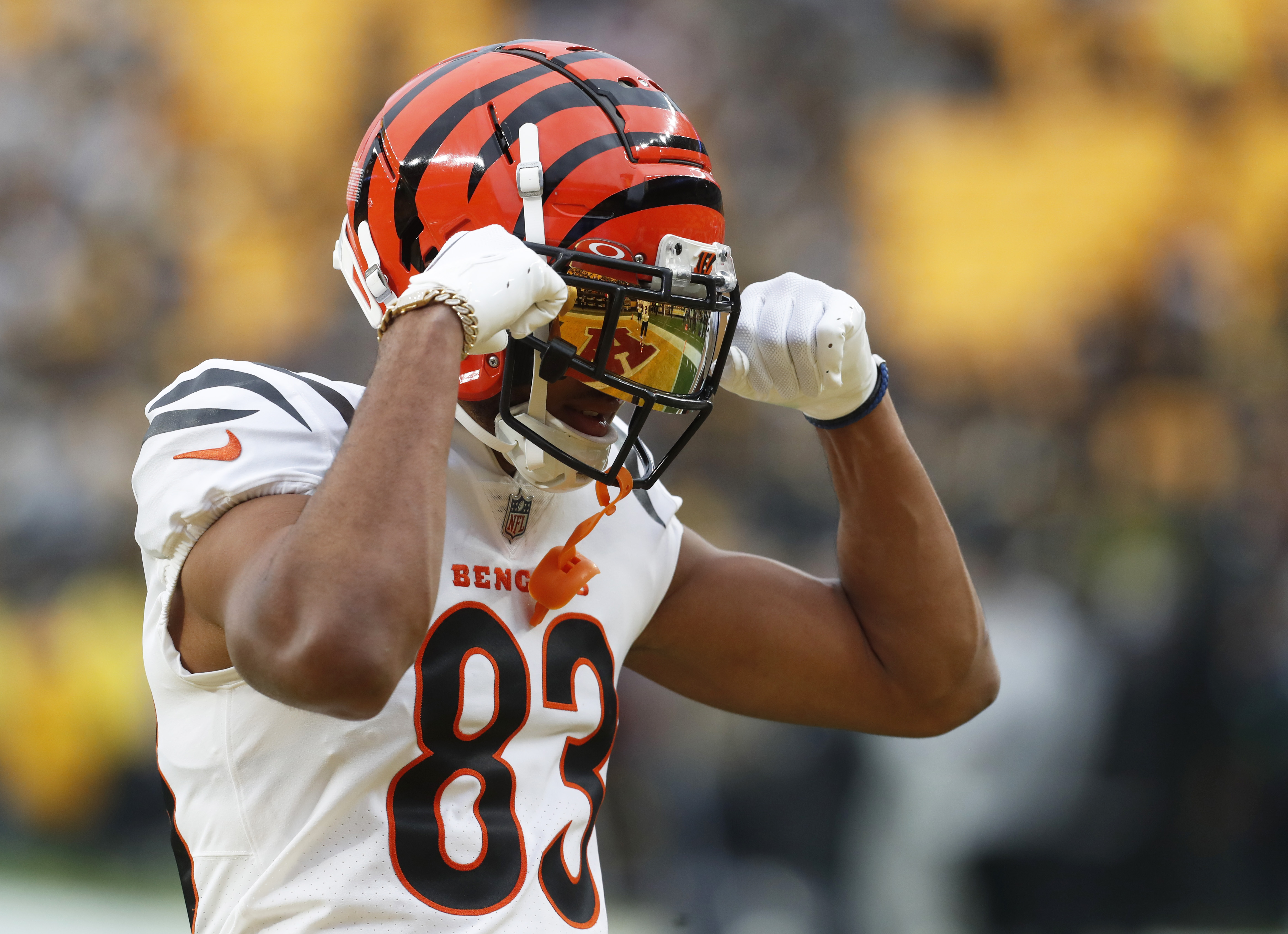 NFL: Cincinnati Bengals at Pittsburgh Steelers