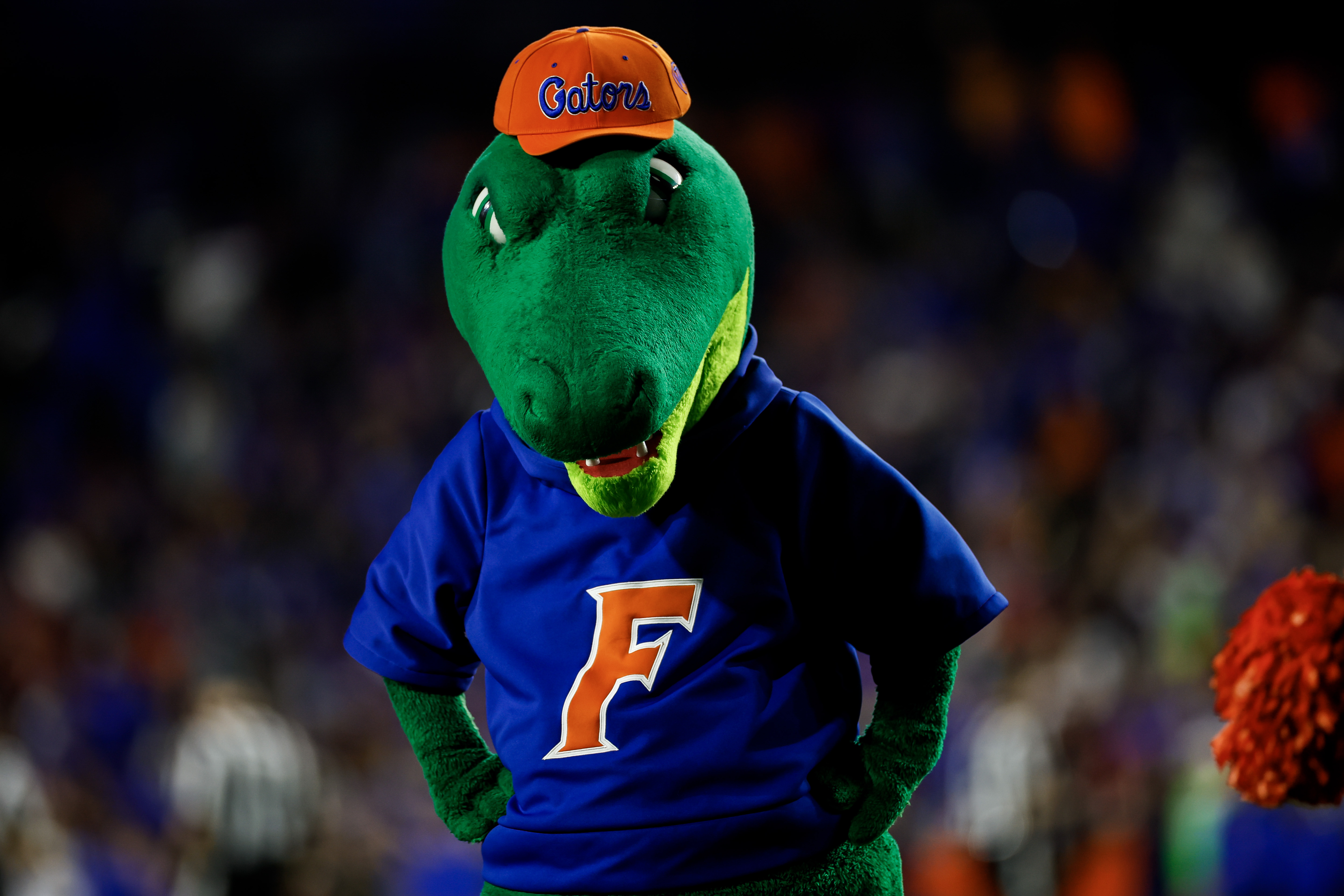 Florida Gators Mascot Albert the Alligator looks on during the second half of a game against the Florida State Seminoles at Ben Hill Griffin Stadium on November 25, 2023 in Gainesville, Florida.