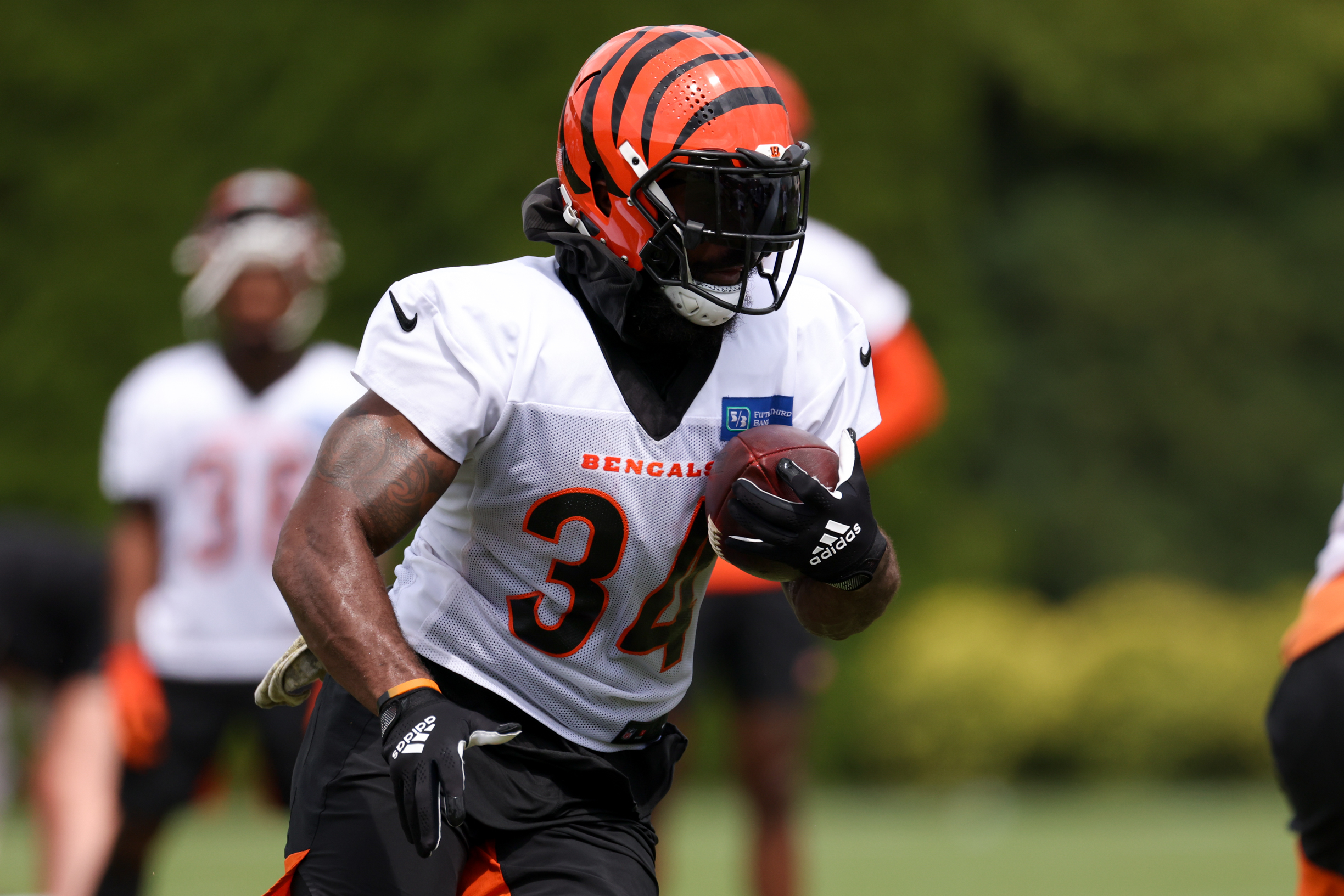 NFL: AUG 16 Cincinnati Bengals Training Camp