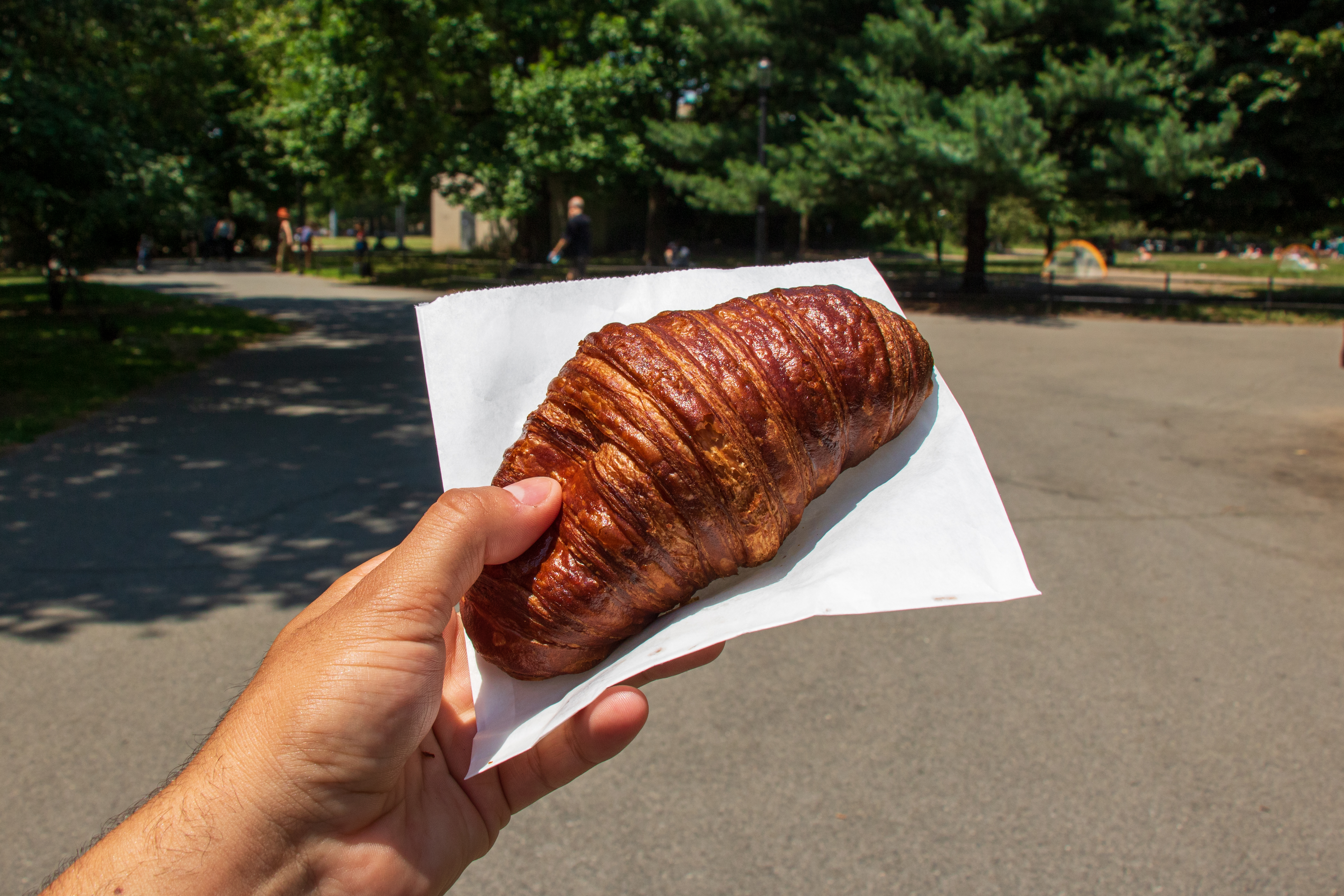 A hand holds a dark brown croissant in McCarren Park in Greenpoint.