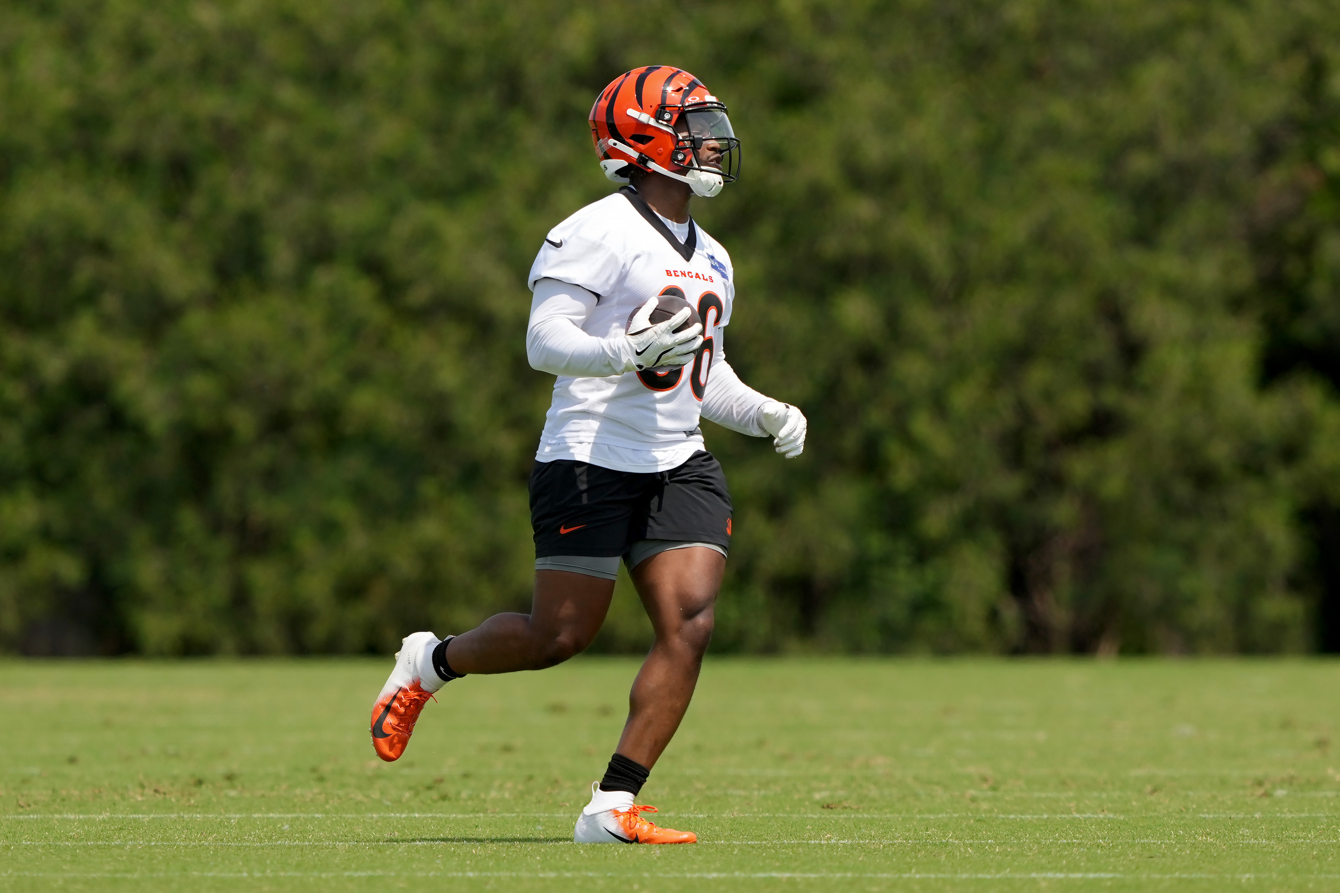 Cincinnati Bengals OTA Offseason Workout