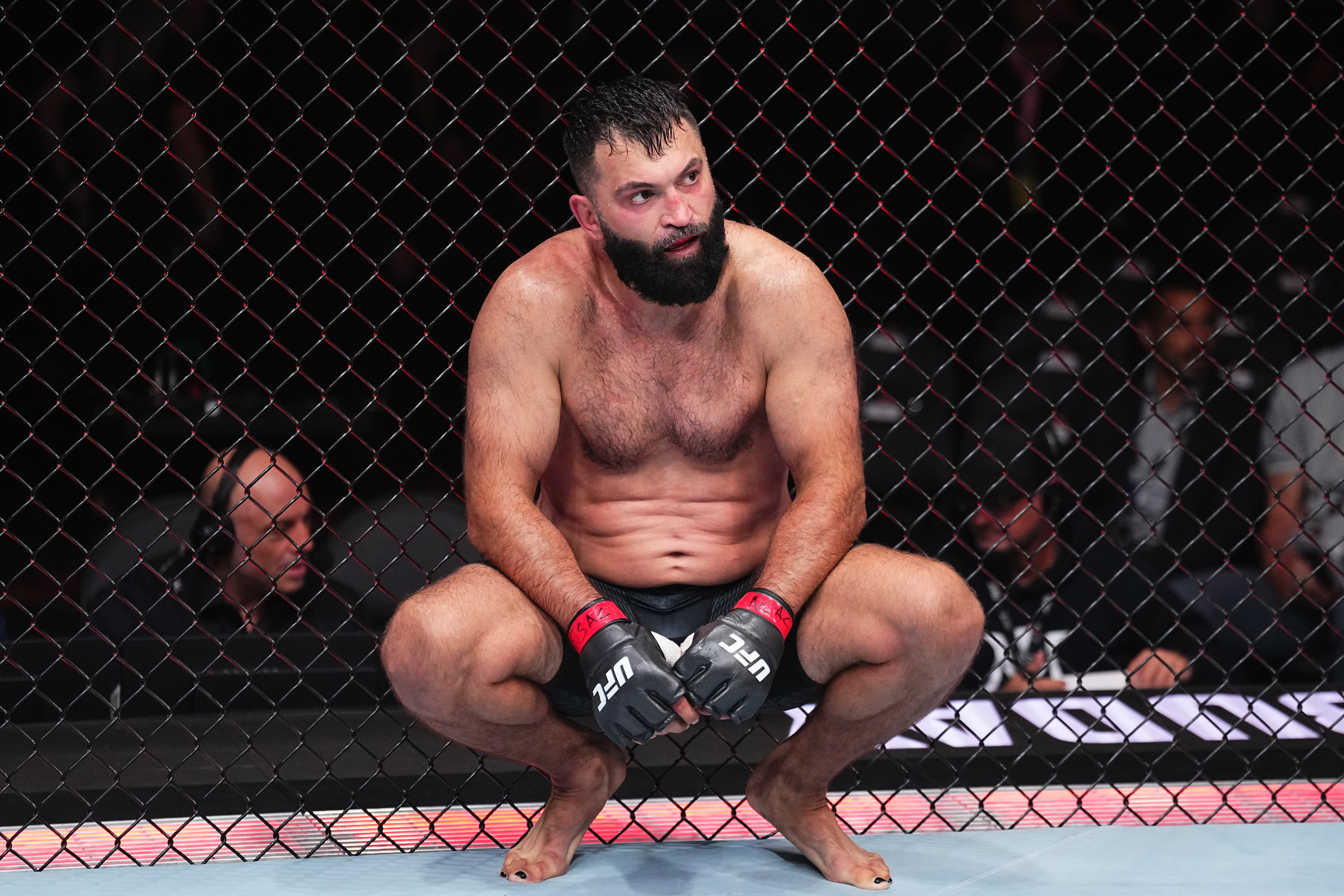 UFC 303: Arlovski v Buday