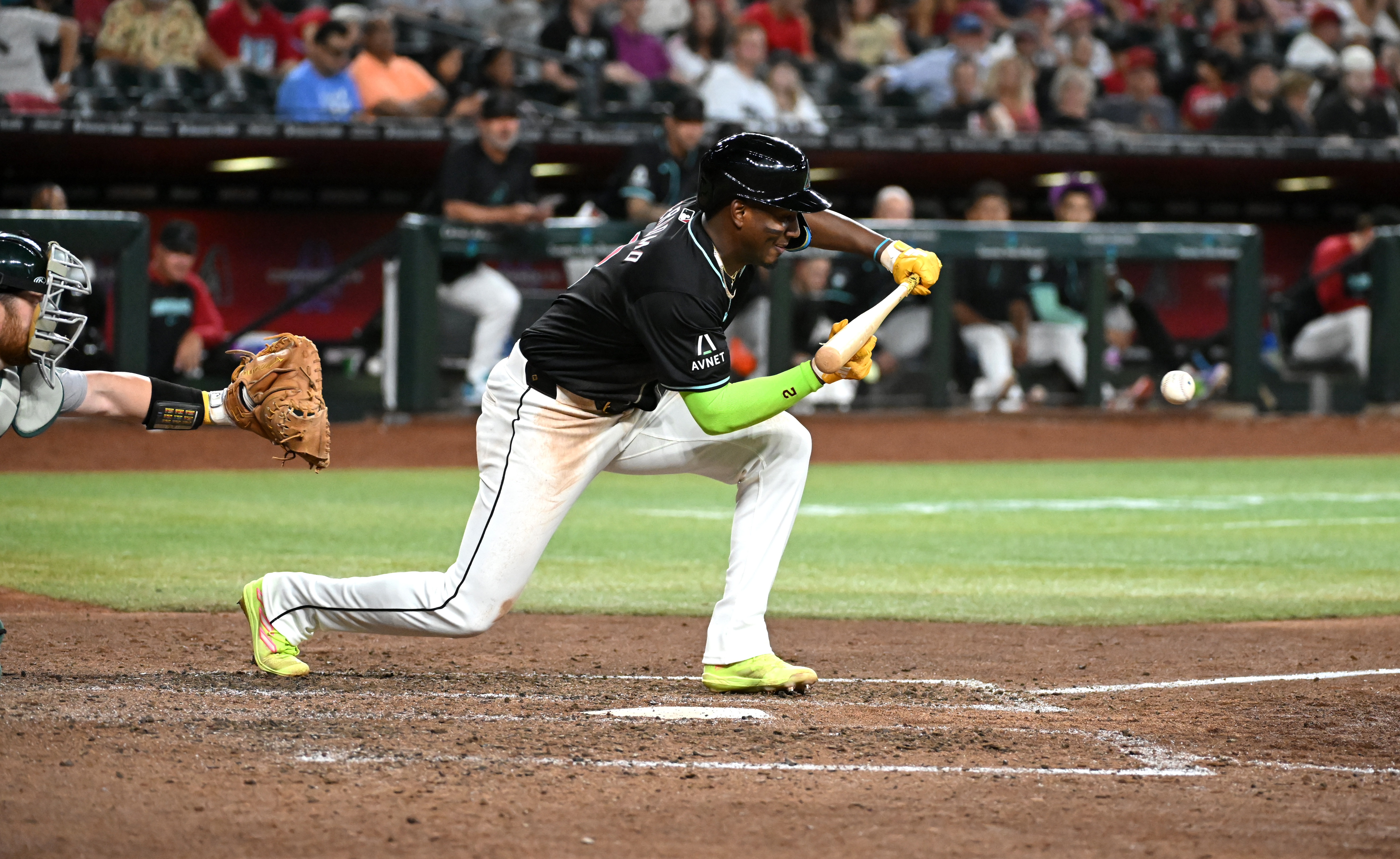 Geraldo Perdomo bunts.