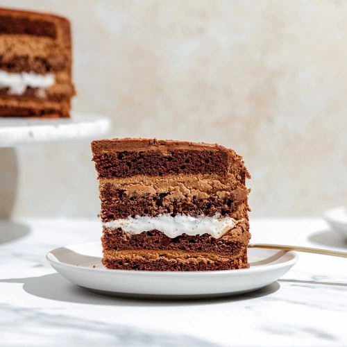 Milk chocolate layer cake made with Dried Whole Milk