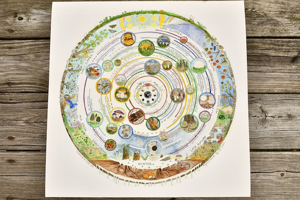 Giclée Art Print - Mushroom Foraging Calendar