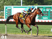 AmericanPharoah_01