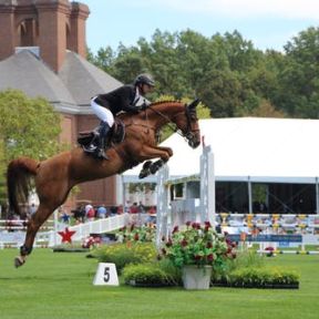 Riding horses can be scary, and horses get scared too.