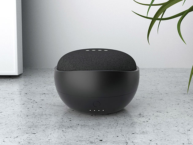 A Google Home device. 