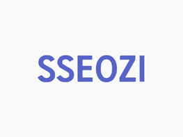 SSEOZI: Your Professional SEO & Web Analyzer Tools with Lifetime Access