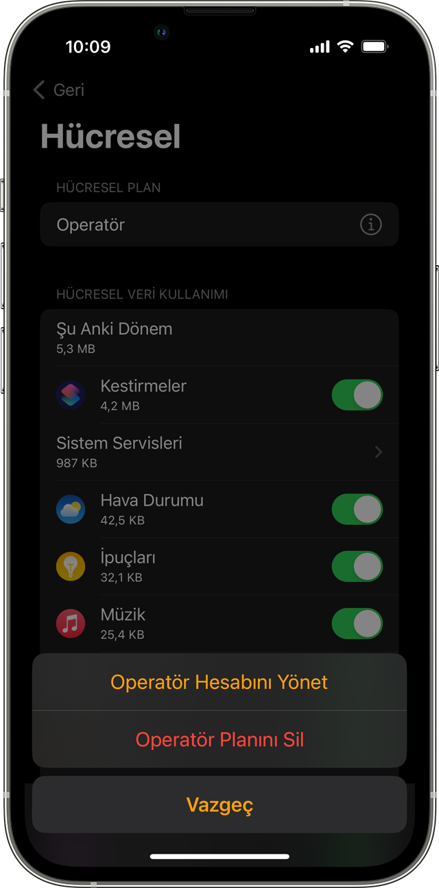 Watch uygulamasında Hücresel ekranını gösteren iPhone